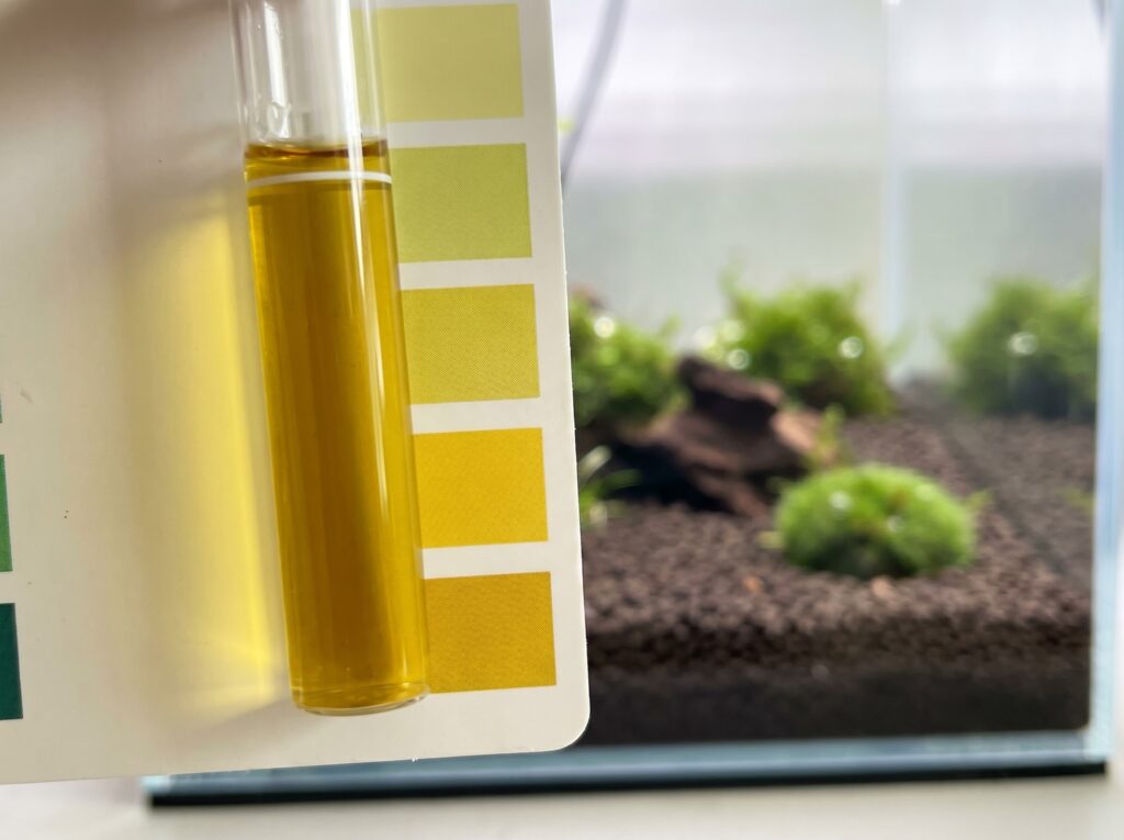 Ammonia test tube showing high reading during aquasoil spike while cycling a shrimp tank