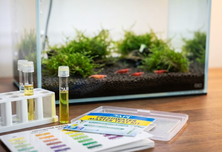 aquarium test kit with test tubes beside a cherry shrimp nano tank showing the importance of water testing
