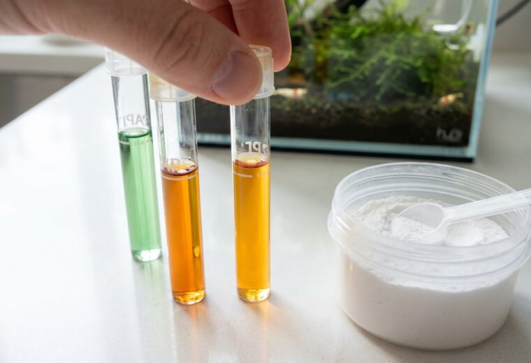 GH test kit showing orange and green test tubes beside shrimp remineralizer powder