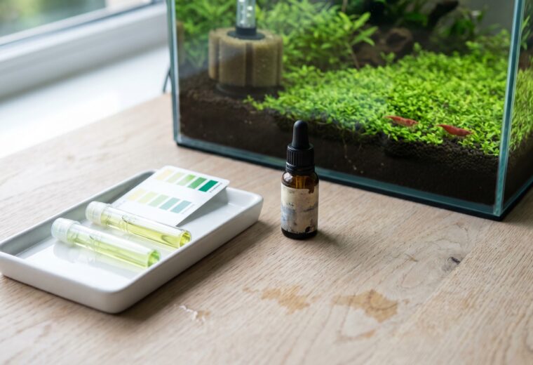 pH test kit beside a planted shrimp tank showing red cherry shrimp on dark substrate