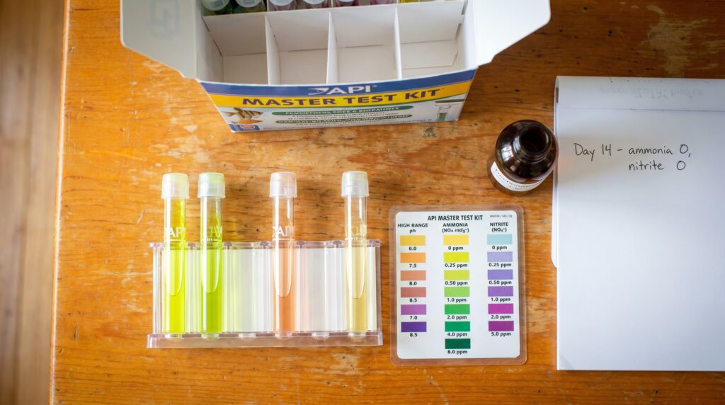 aquarium test tubes showing zero ammonia and nitrite readings for a cycled shrimp tank